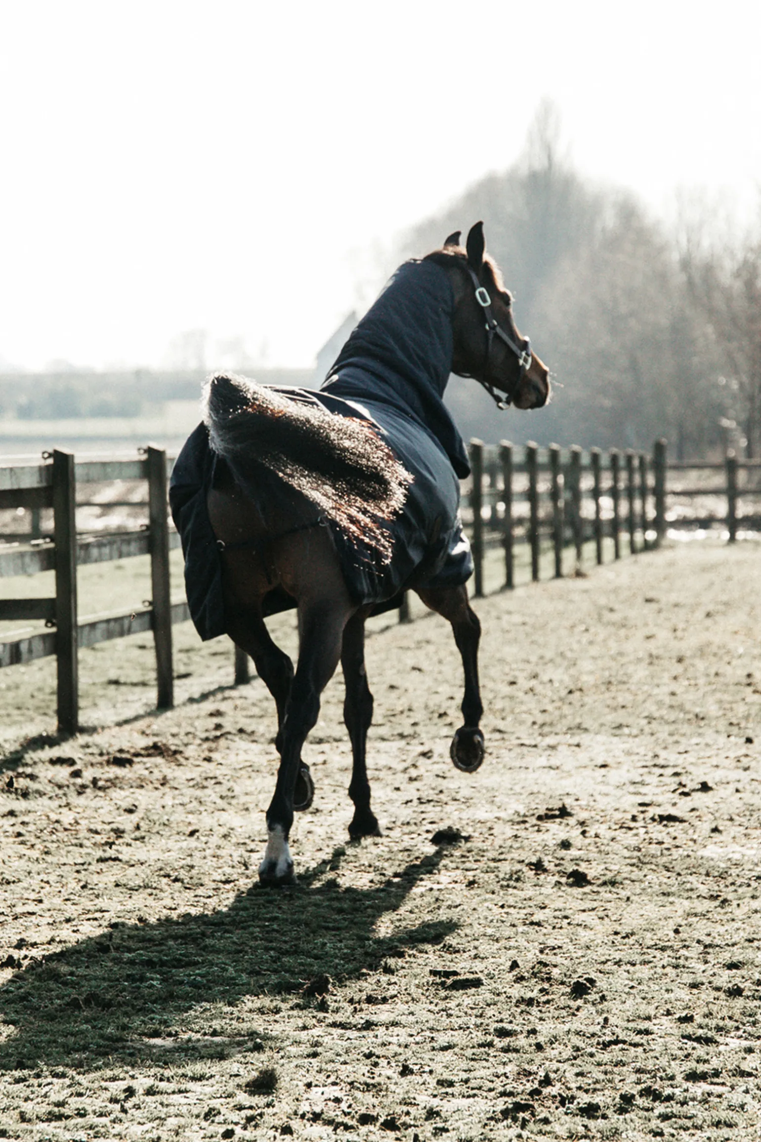 Kentucky Horsewear All Weather Waterproof Classic Ulkoloimi, 50 G