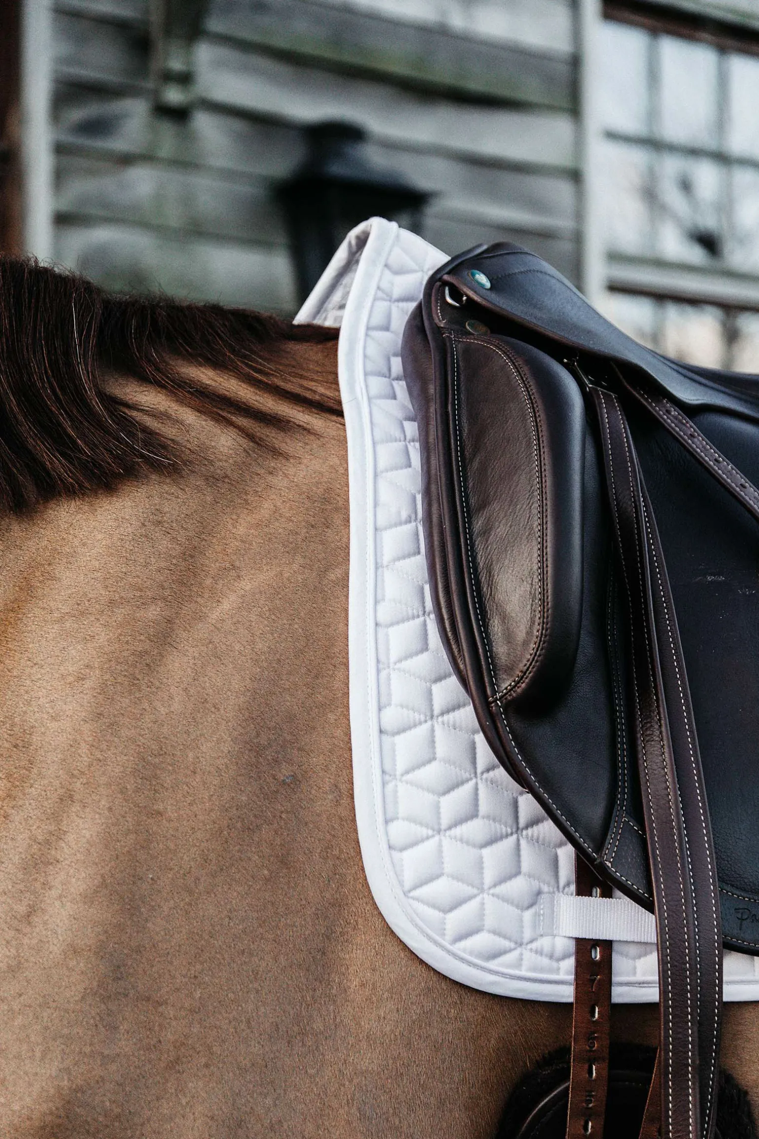 Kentucky Horsewear Basic Koulusatulahuopa