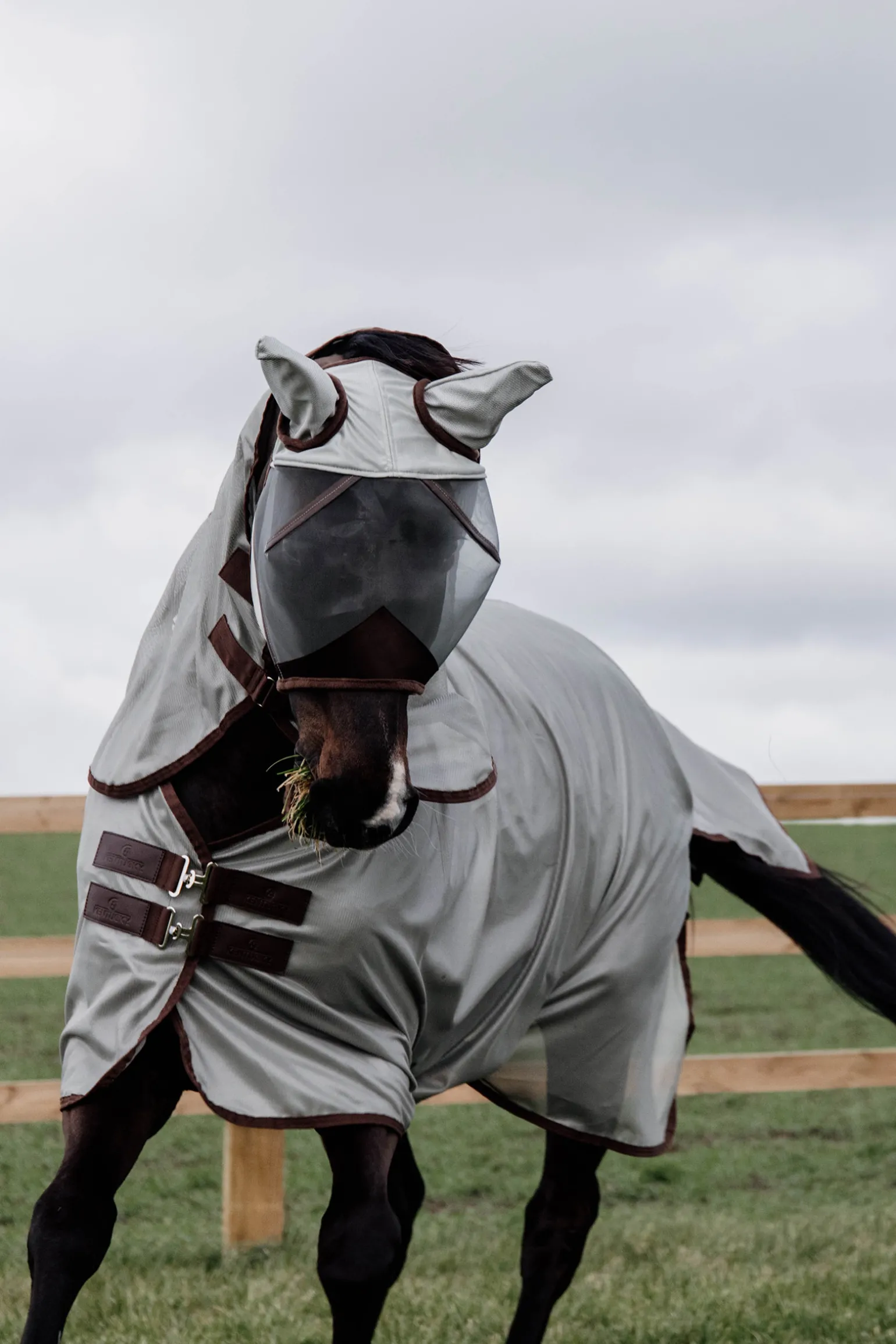 Kentucky Horsewear Classic Mesh Hyonteisloimi