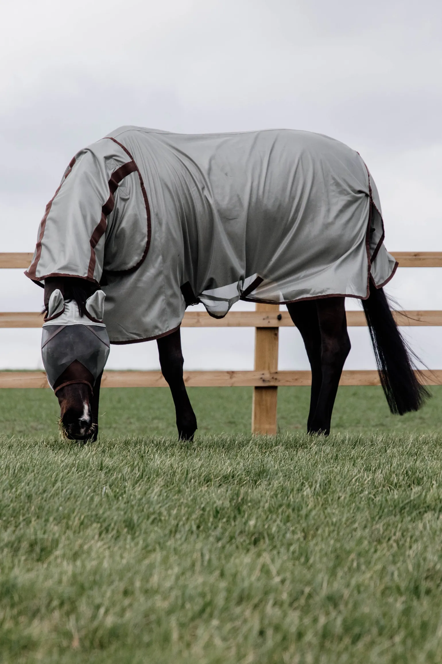 Kentucky Horsewear Classic Mesh Hyonteisloimi