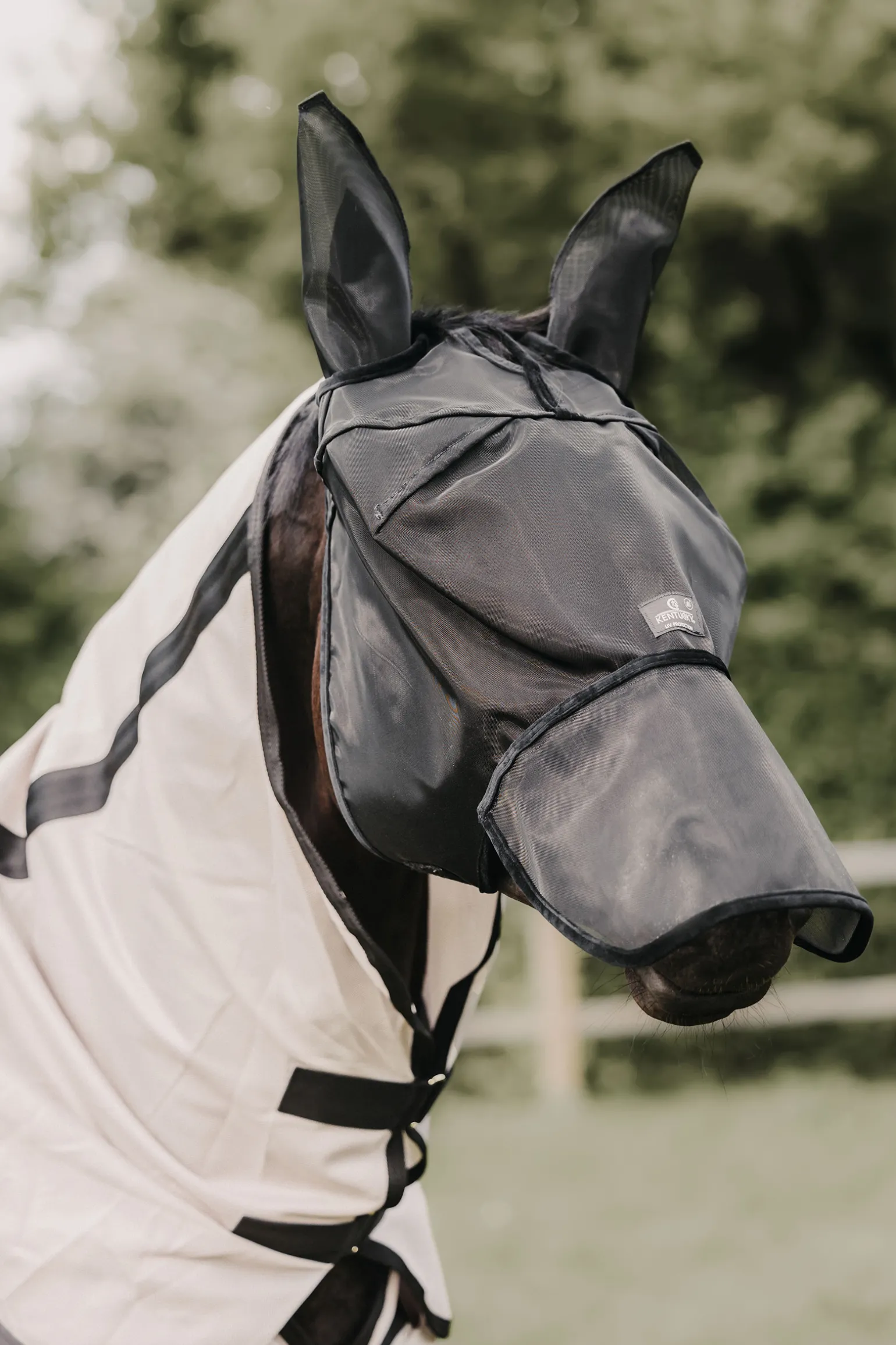 Kentucky Horsewear Classic Karpasmaski Korvilla Ja Turpasuojalla
