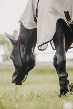 Kentucky Horsewear Classic Karpasmaski Korvilla Ja Turpasuojalla