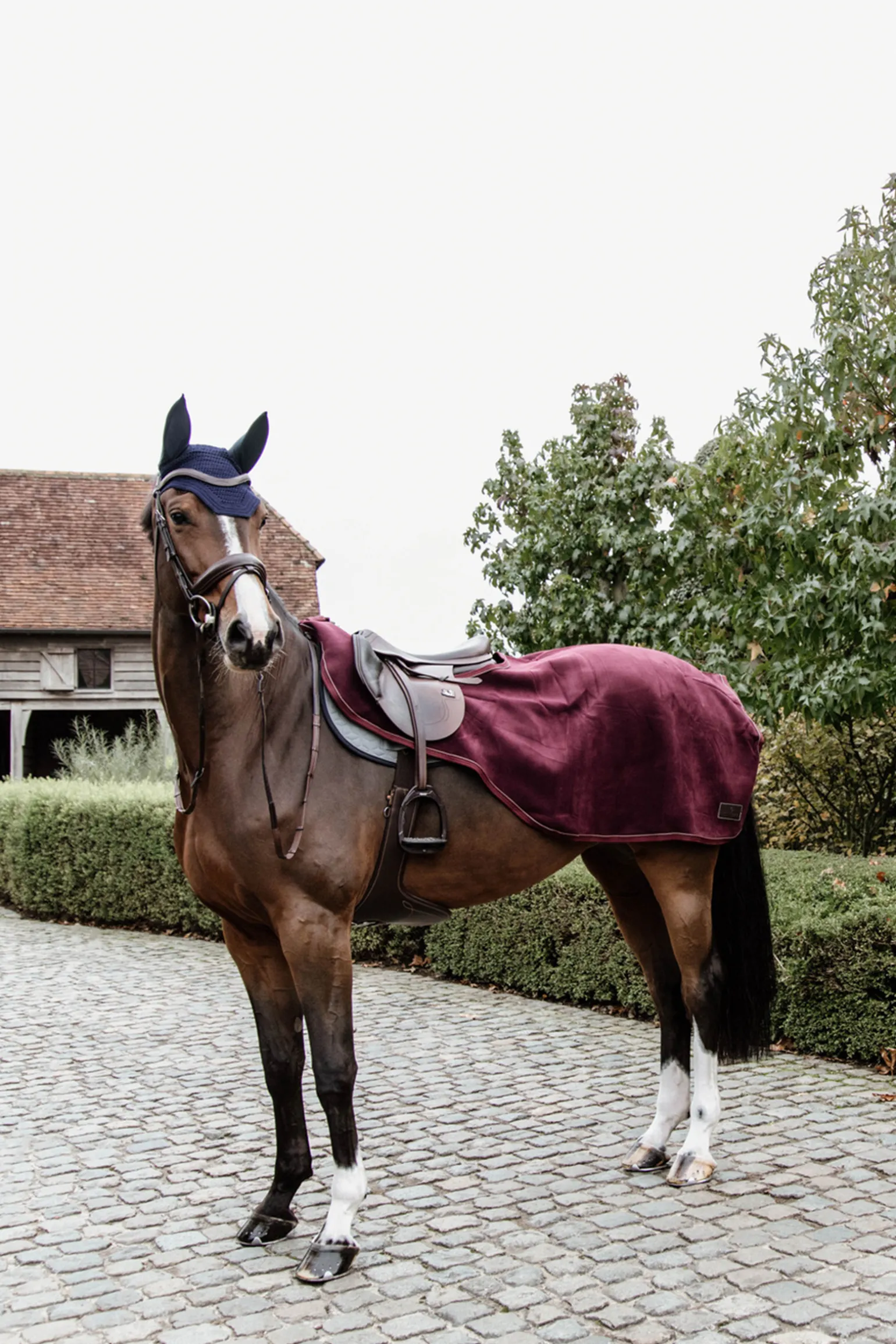 Kentucky Horsewear Heavy Fleece Ratsastusloimi Medium