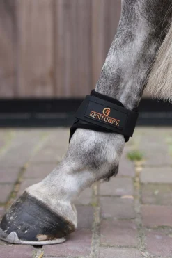 Kentucky Horsewear Hivutussuojat Nuorille Hevosille