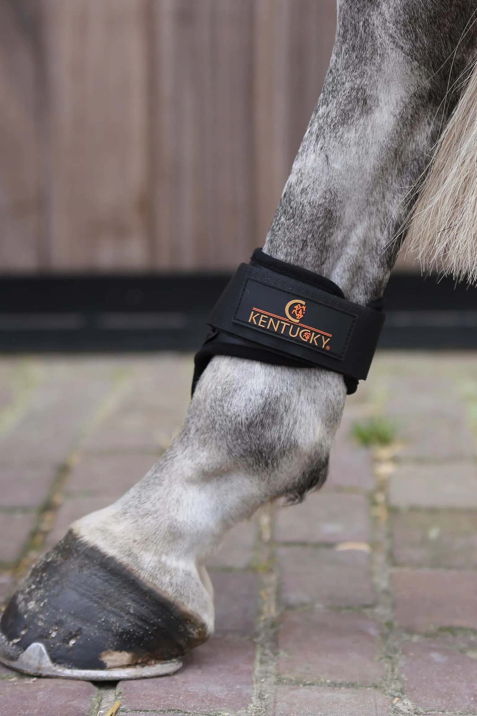 Kentucky Horsewear Hivutussuojat Nuorille Hevosille