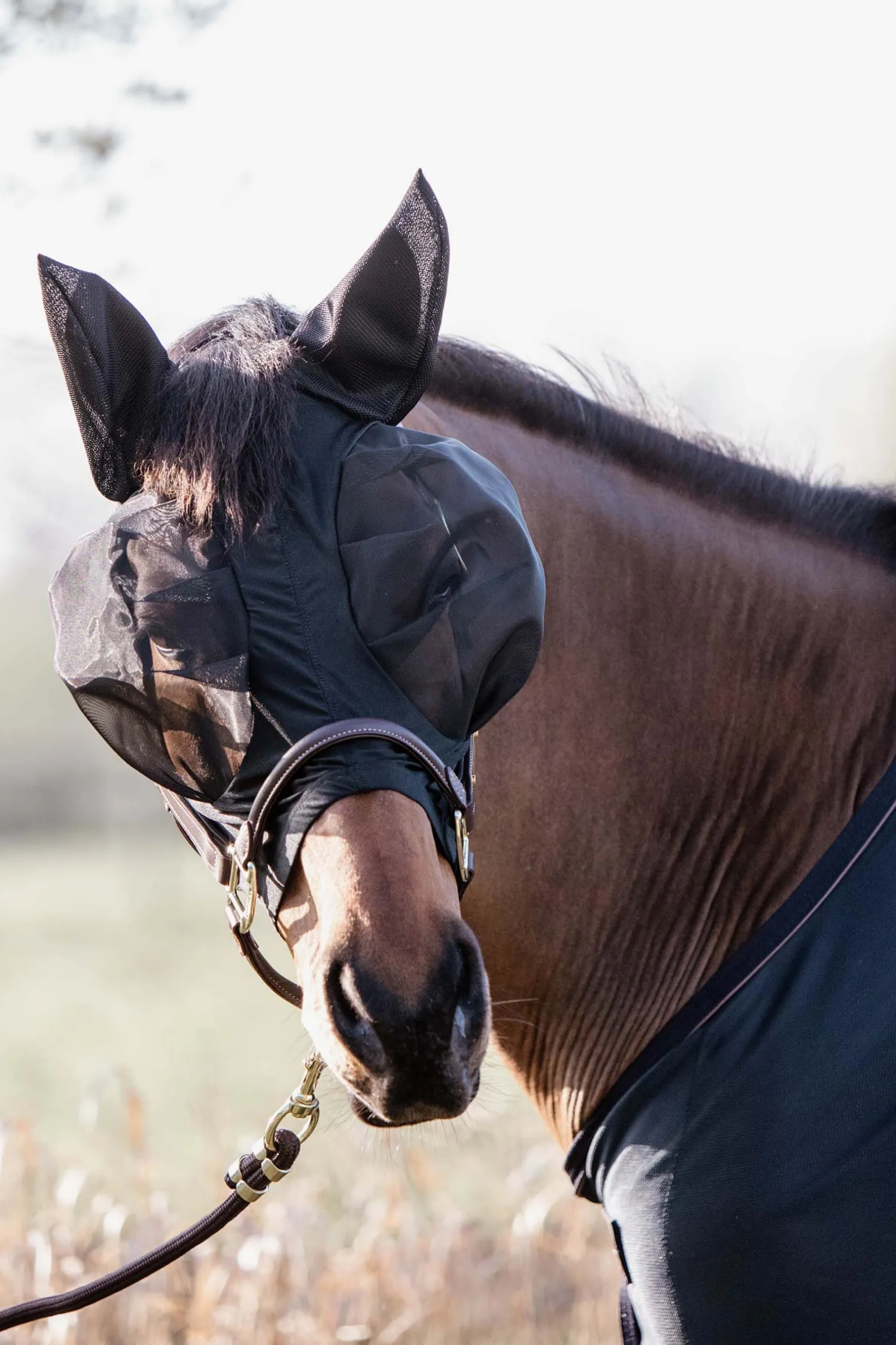 Kentucky Horsewear Karpasmaski, Paan Myotainen Malli