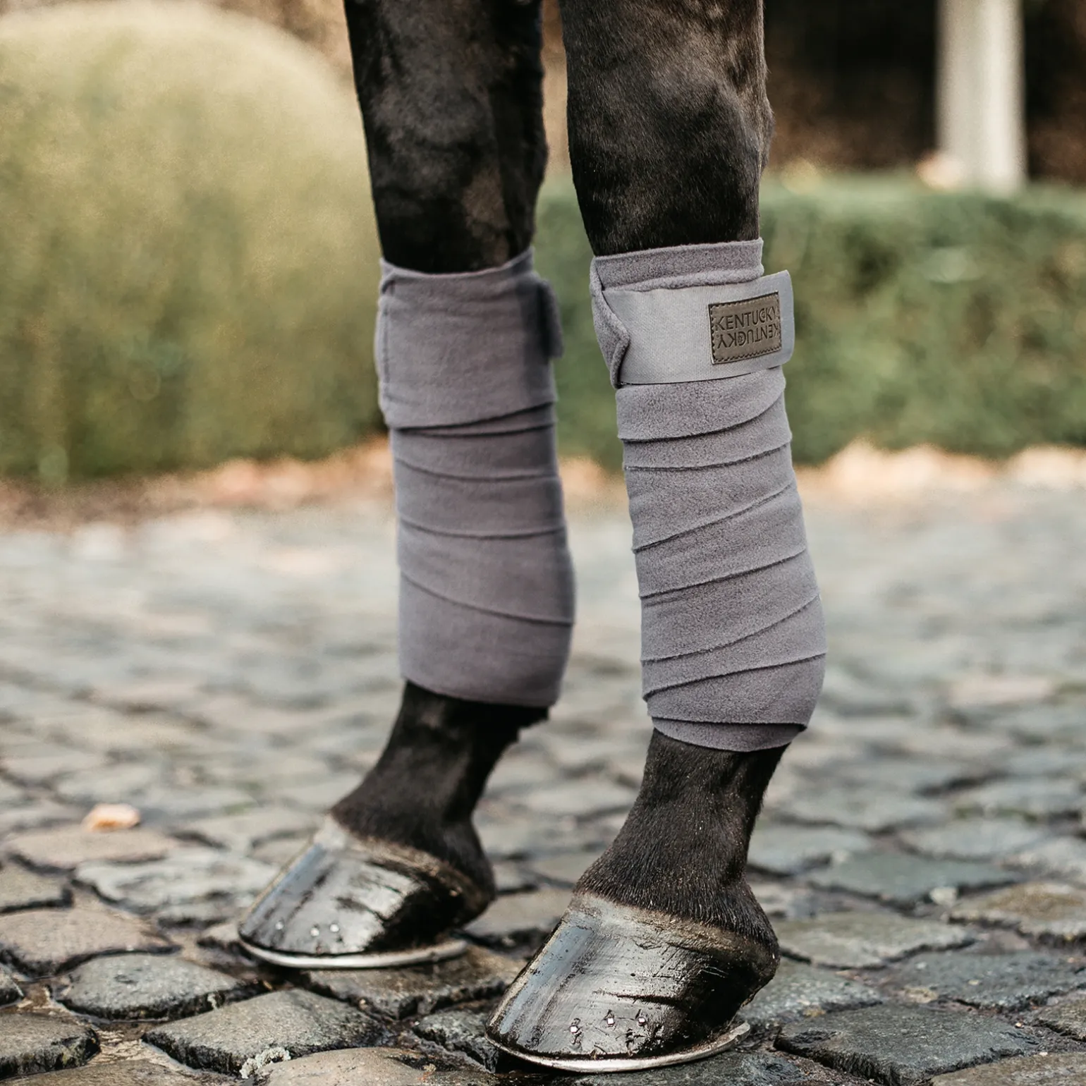Kentucky Horsewear Polar Fleece Pintelit (Pakkauksessa 4 Kpl)