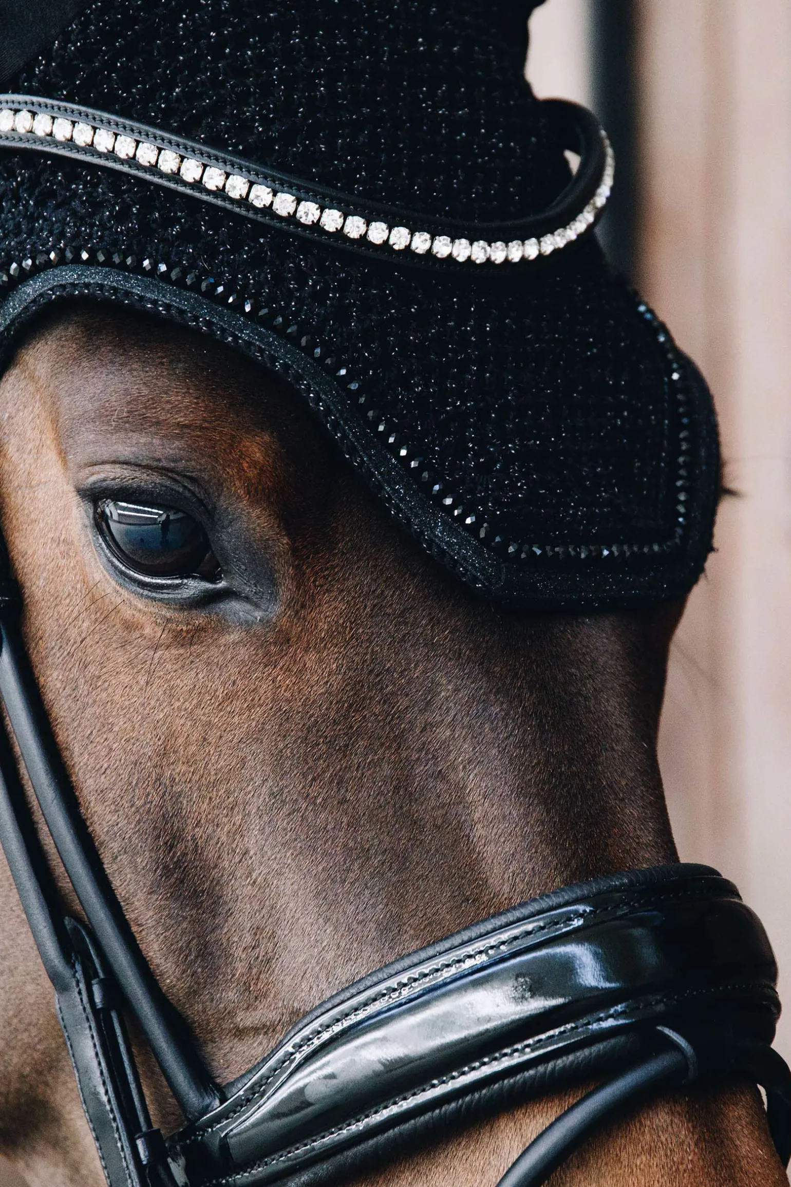 Kentucky Horsewear Wellington Glitter Aaneton Korvahuppu