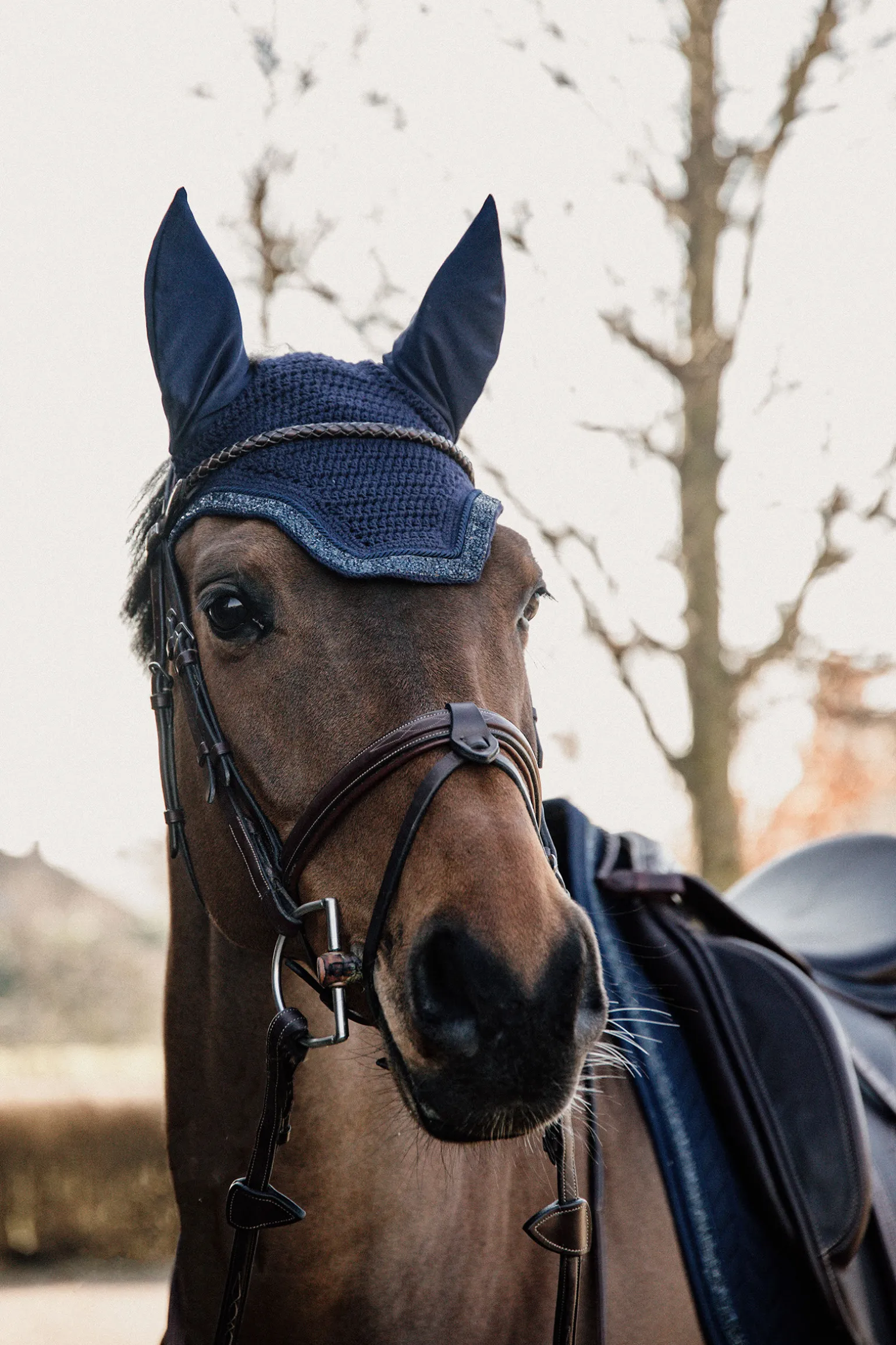 Kentucky Horsewear Wellington Glitter Stone Karpashuppu, Aanta Vaimentava