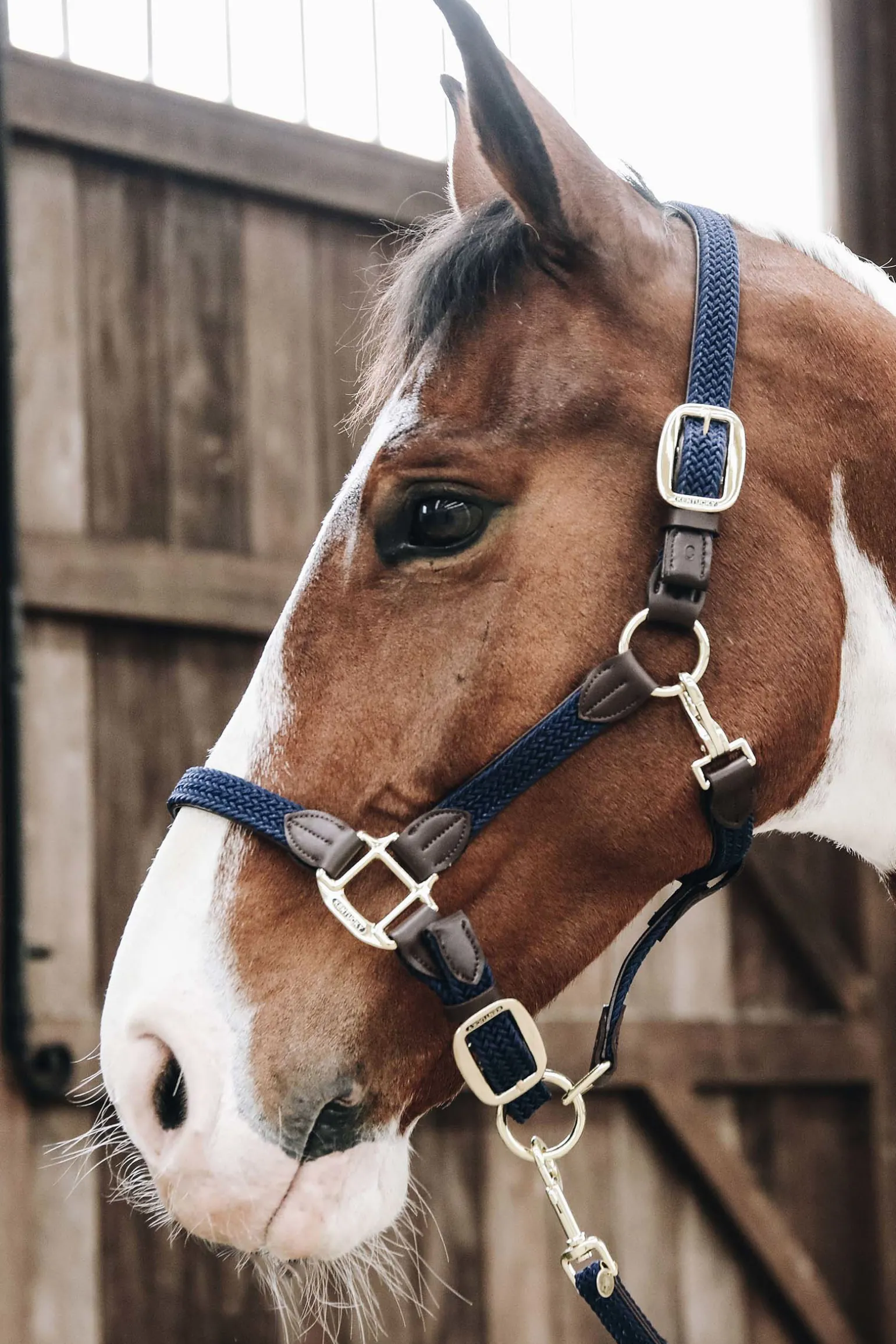 Kentucky Punottu Nailonriimu