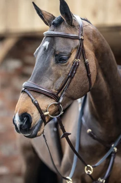 Lemieux Competiton Flash Bridle