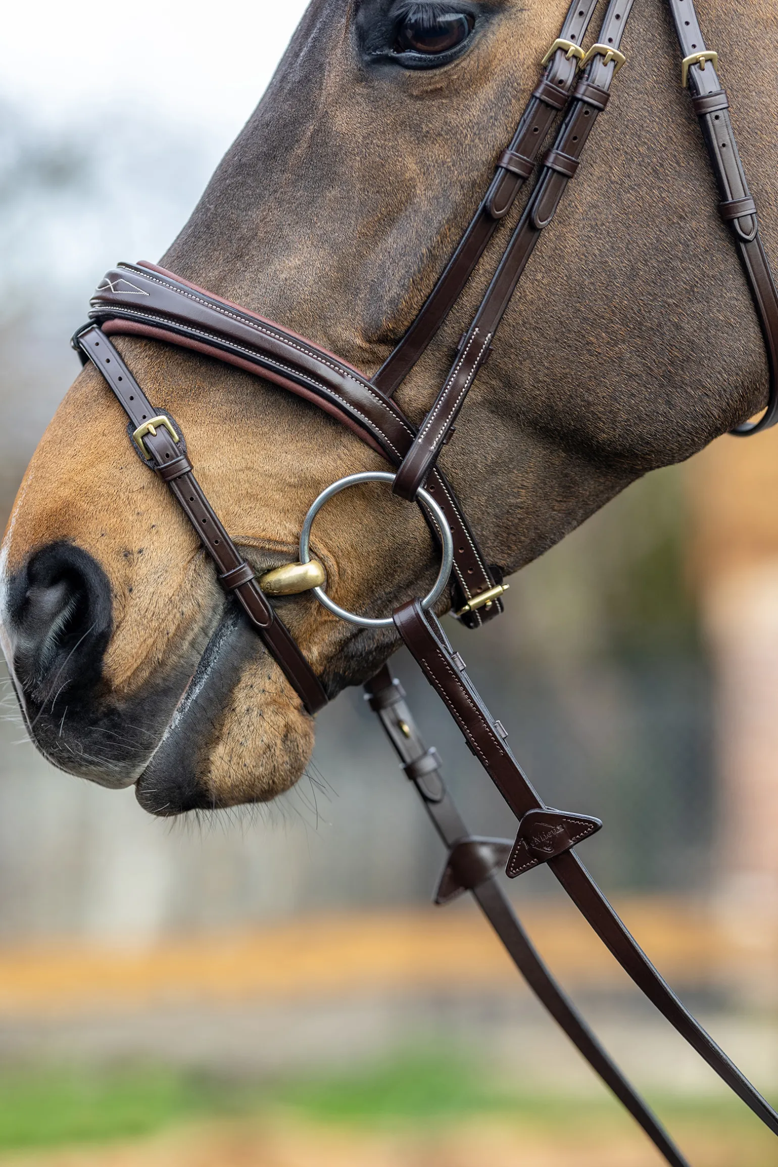 Lemieux Competiton Flash Bridle