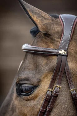 Lemieux Competiton Flash Bridle