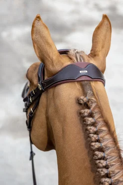 Lemieux Competiton Flash Bridle