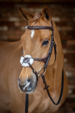 Lemieux Grackle Bridle