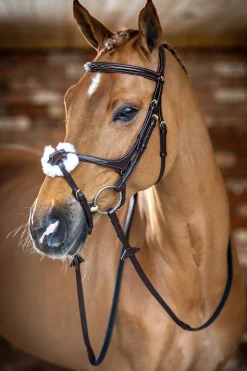 Lemieux Grackle Bridle