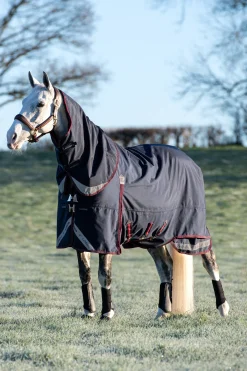 Lemieux Kudos Lightweight Turnout Rug, 100G