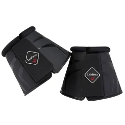 Lemieux Proshell -Putsit