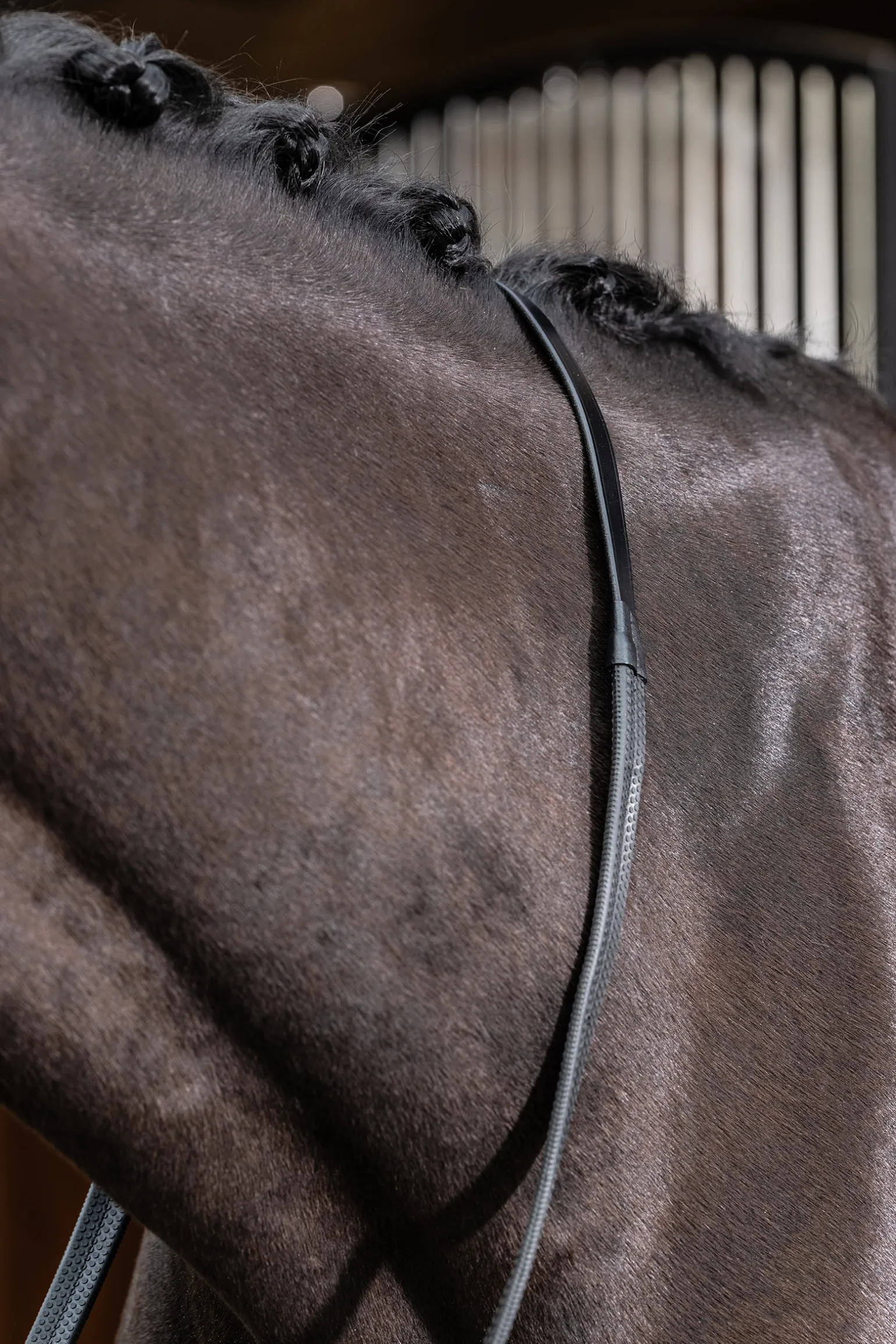Lemieux Rubber Reins