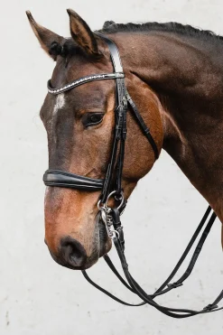 Schockemohle Milton Anatomic Double Bridle