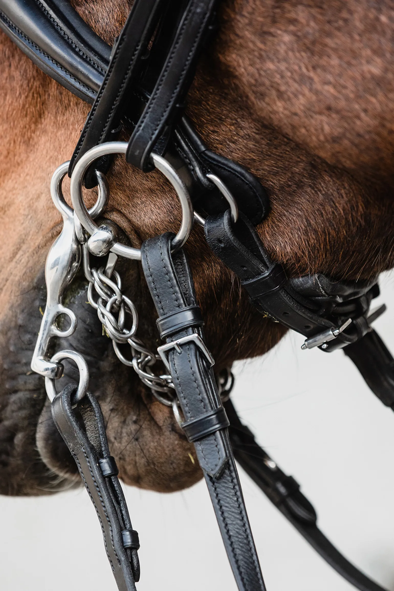 Schockemohle Milton Anatomic Double Bridle