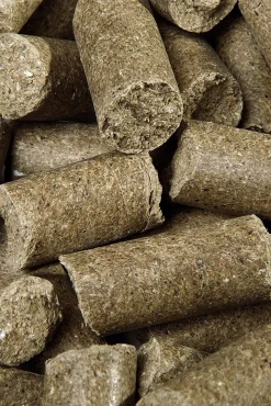 Speed Eucalyptus Delicious Speedies, Makupalat, 5 Kg