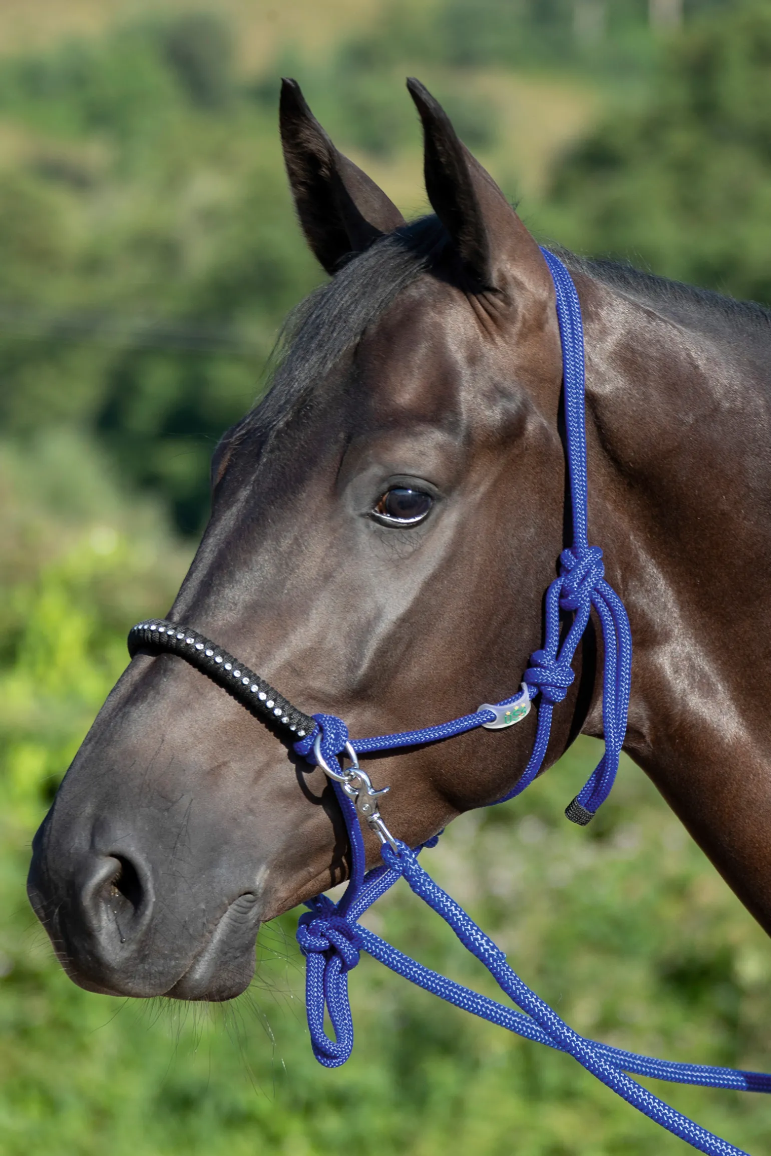 Usg Knotted Rope Halter With Reins