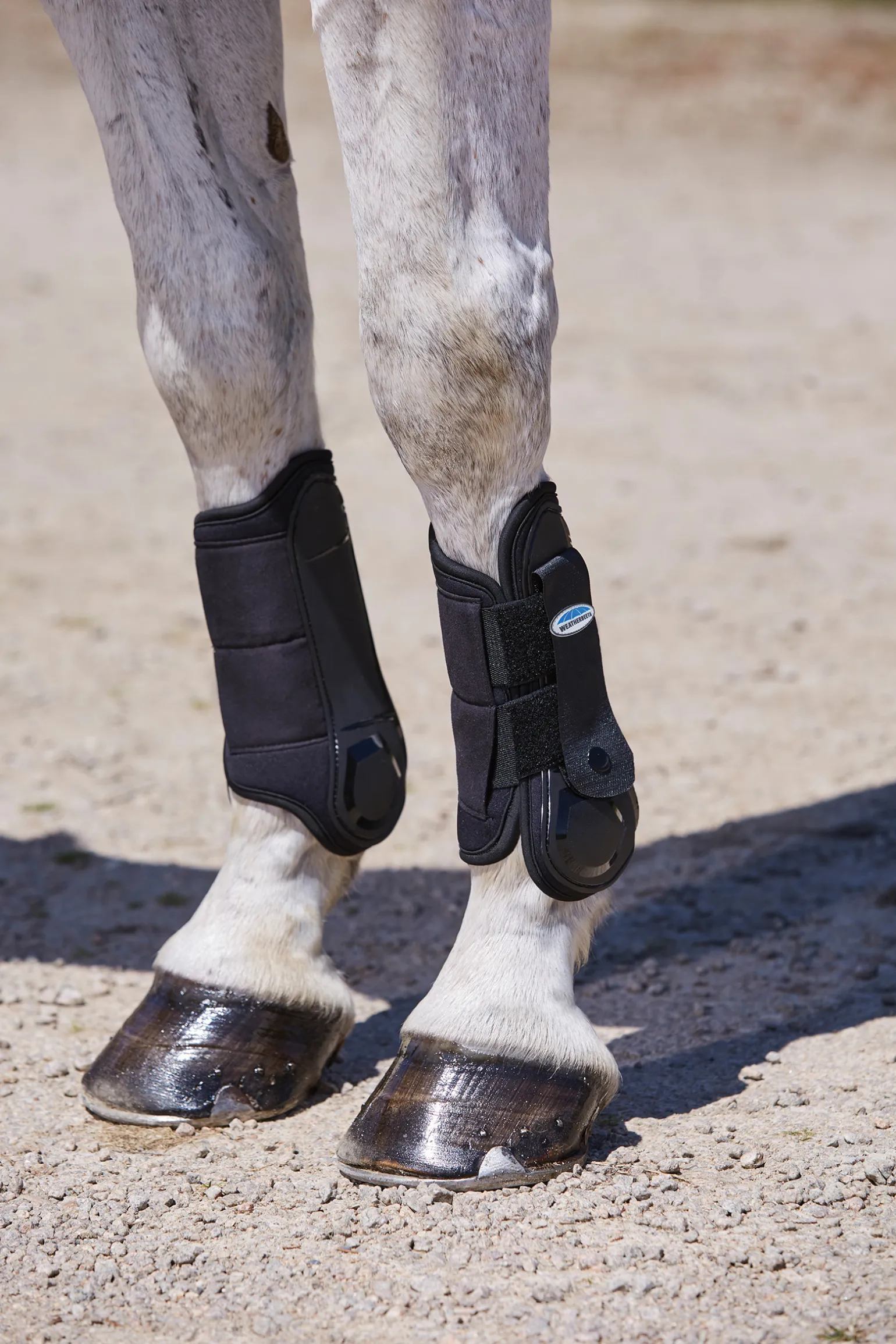 Weatherbeeta Flexi Shell Front Cross Country -Suojat